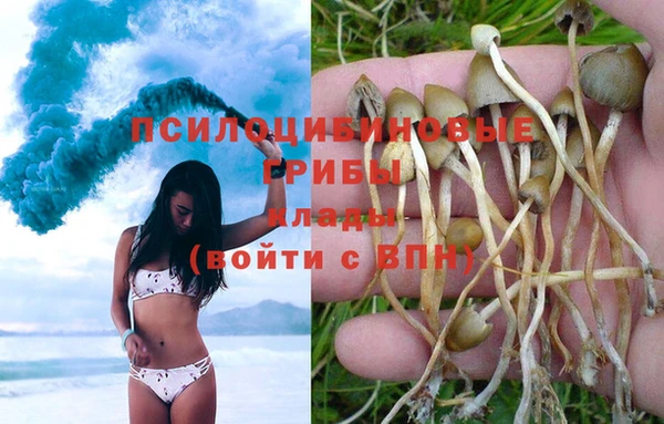 герыч Новодвинск