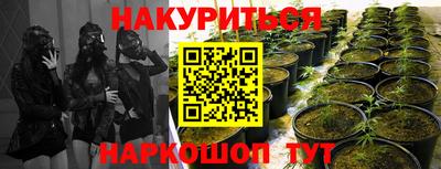 альфа пвп Гатчина