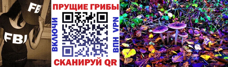 Галлюциногенные грибы прущие грибы  закладка  Ступино 